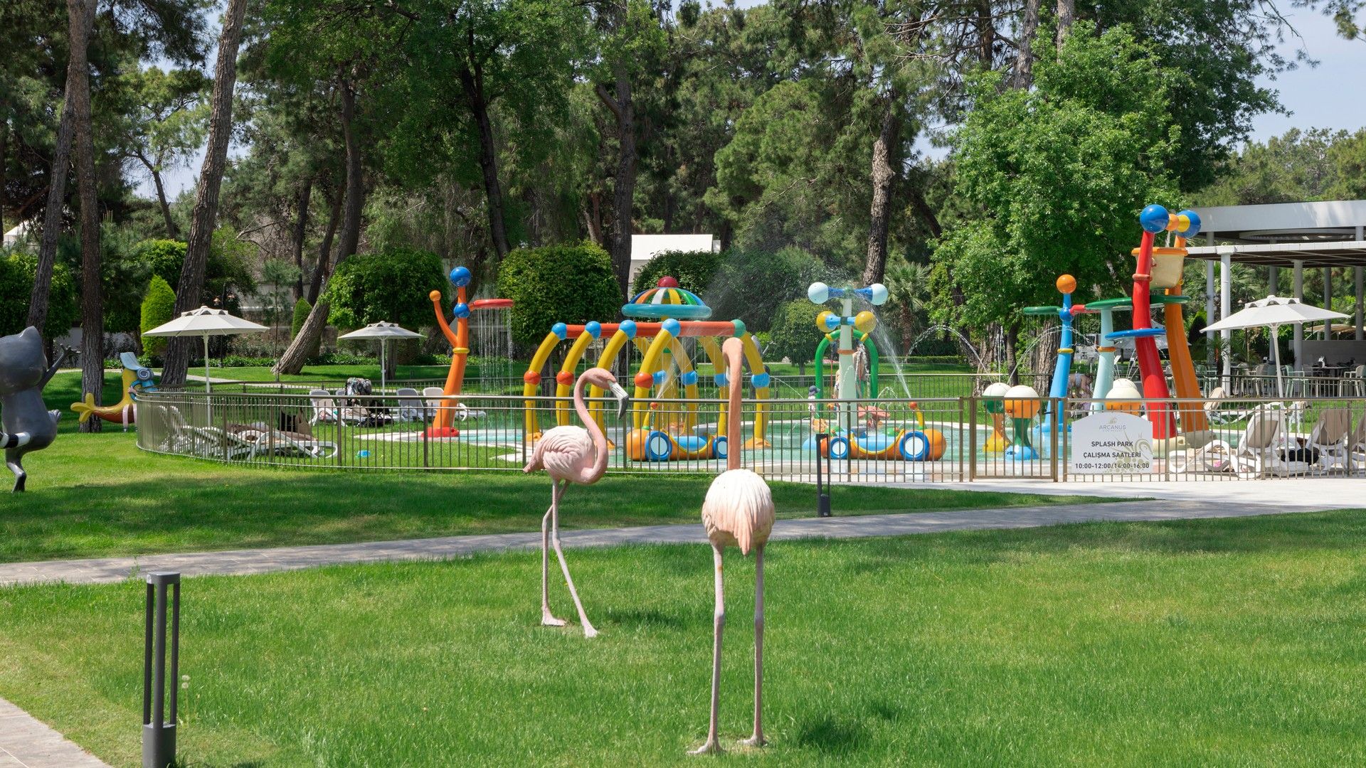 Pools & Aquapark – photo 6