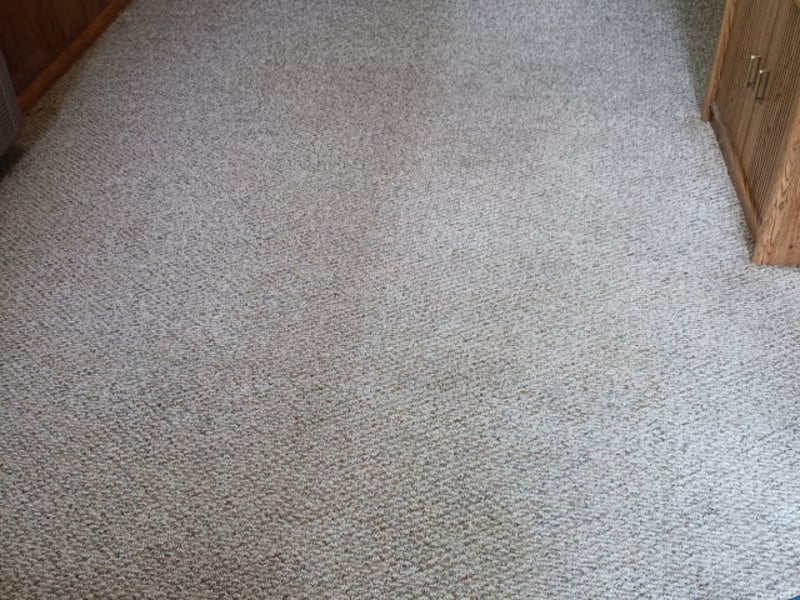 The same carpet restored to its original color after truck-mounted hot-water extraction