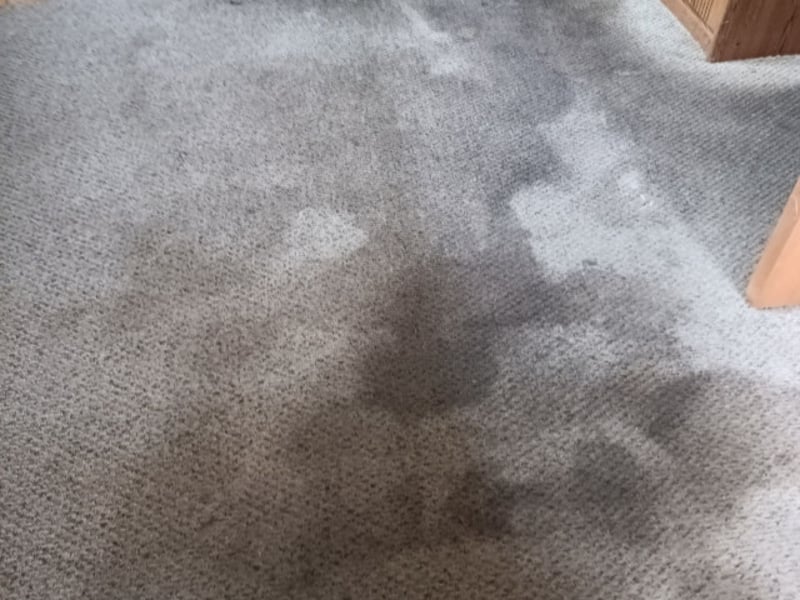 Heavily soiled high-traffic carpet before cleaning by Andrew's Pro Clean