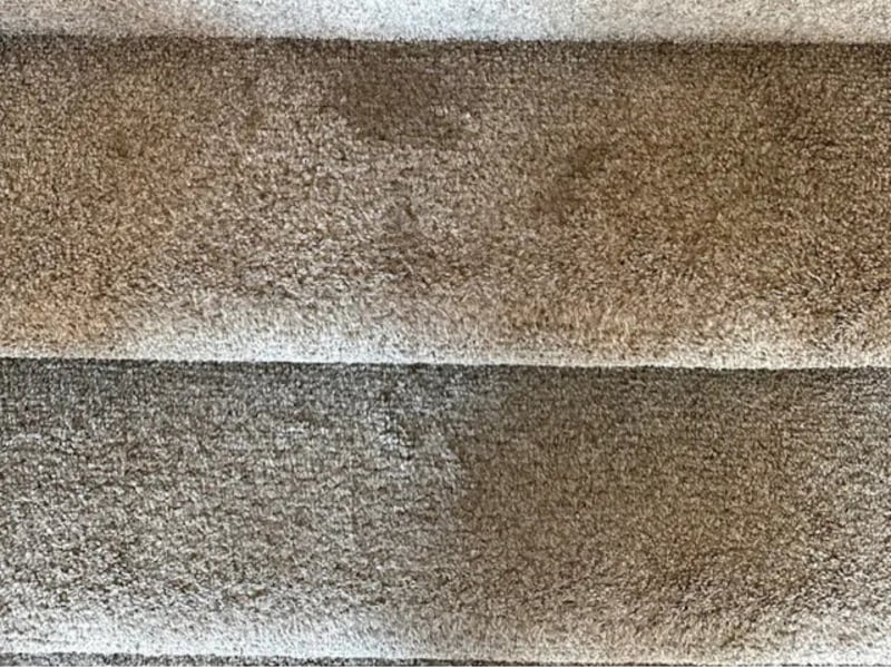 Technician running a carpet-cleaning wand mid-extraction on a residential carpet in Owatonna, MN