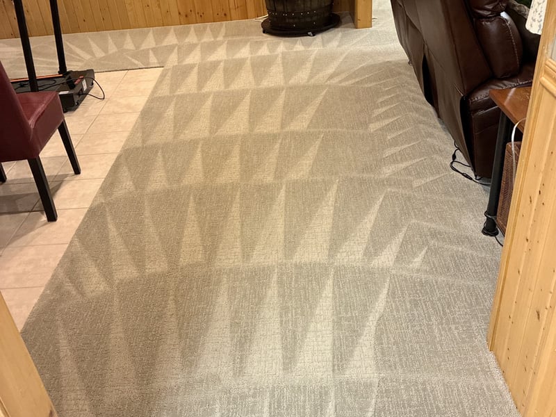 Basement carpet freshly cleaned into crisp, even groom lines by Andrew's Pro Clean in Owatonna, MN