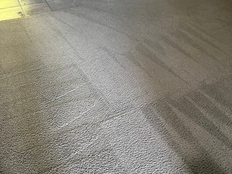 Carpet freshly cleaned and groomed into even vacuum lines by Andrew's Pro Clean in Owatonna, MN