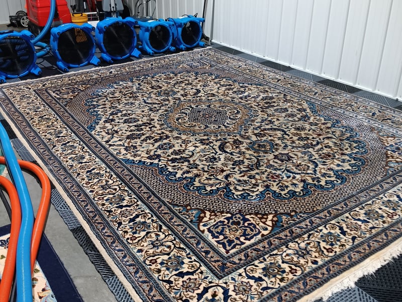 Oriental area rug drying under air movers in the Andrew's Pro Clean shop, Owatonna, MN