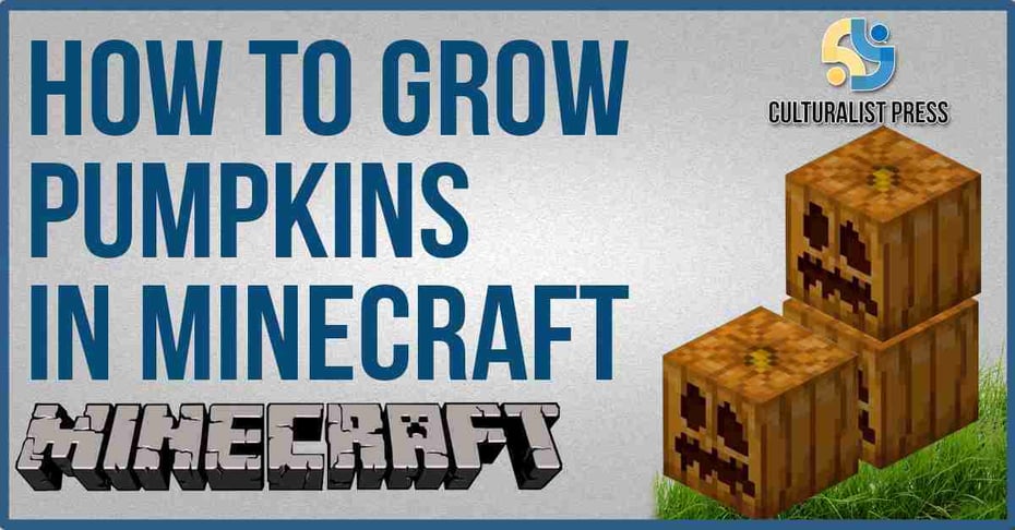 How to grow pumpkins in Minecraft