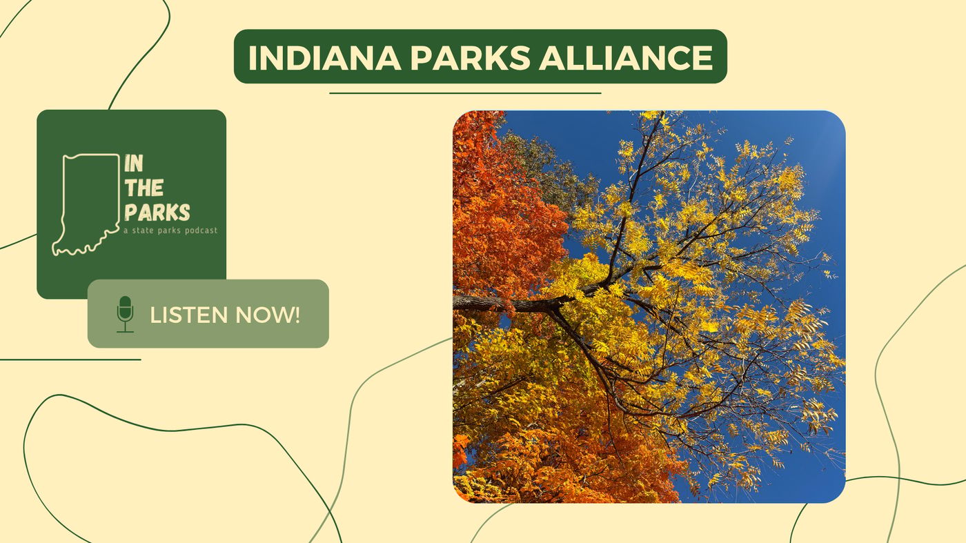 IN the Parks podcast cover graphic titled Indiana Parks Alliance, with a fall-colored tree against a blue sky and a Listen Now button