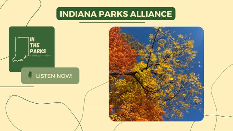 IN the Parks podcast cover graphic titled Indiana Parks Alliance, with a fall-colored tree against a blue sky and a Listen Now button
