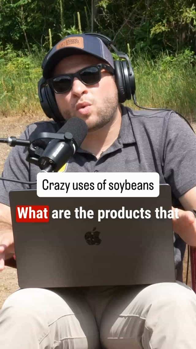 What are soybeans used for?