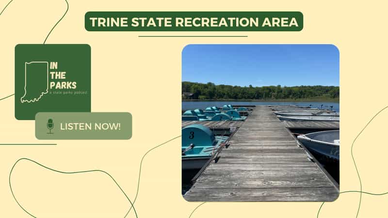 A wooden boat dock at Trine State Recreation Area lined with teal paddle boats and fishing boats under a clear blue sky.