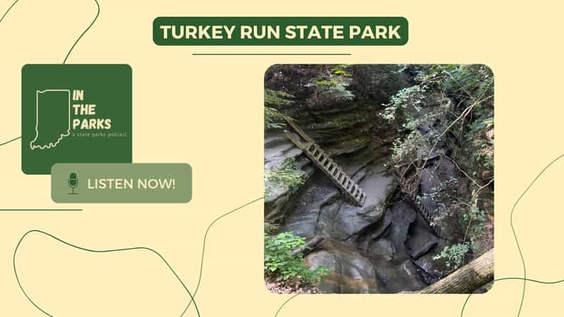 IN the Parks cover art for the Turkey Run State Park episode, showing wooden ladders descending into a mossy sandstone ravine