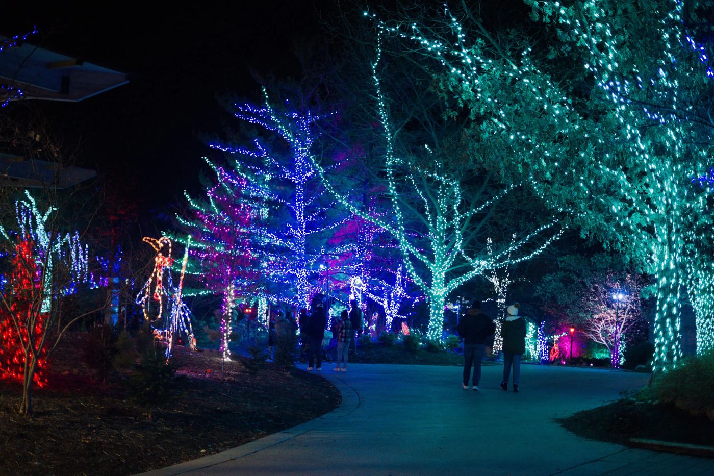 5 Must-Do Holiday Activities in Indiana This December