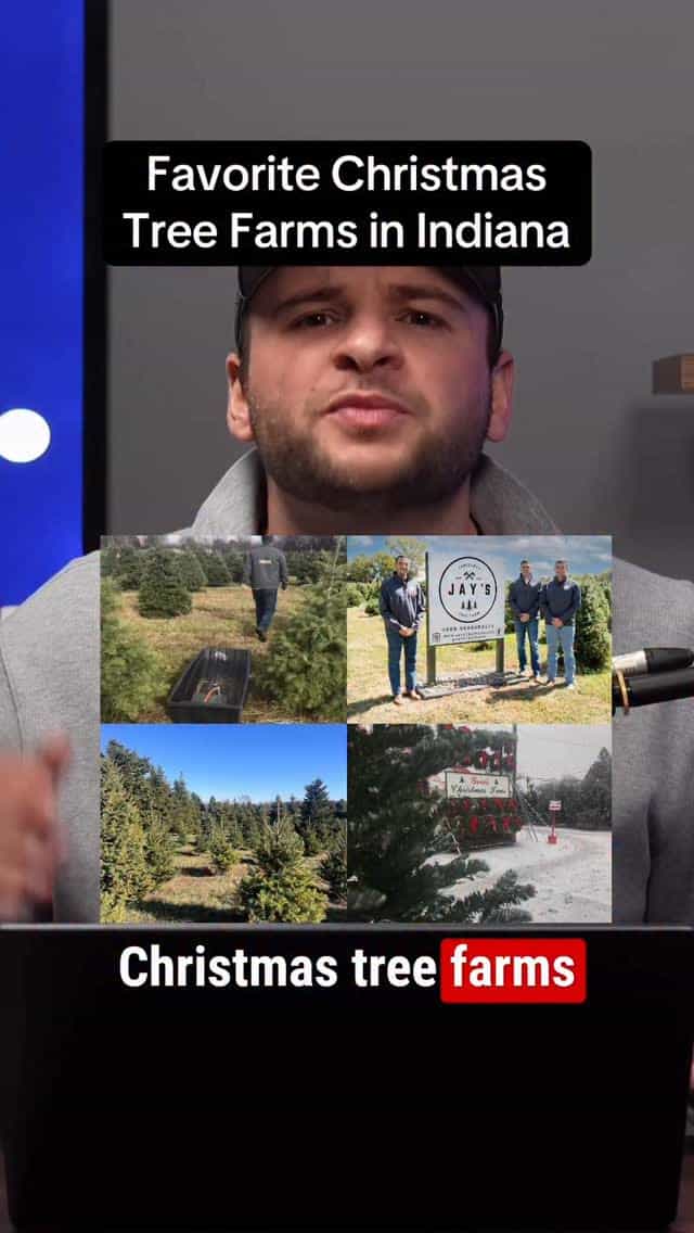 Best Christmas Tree Farms in Indiana