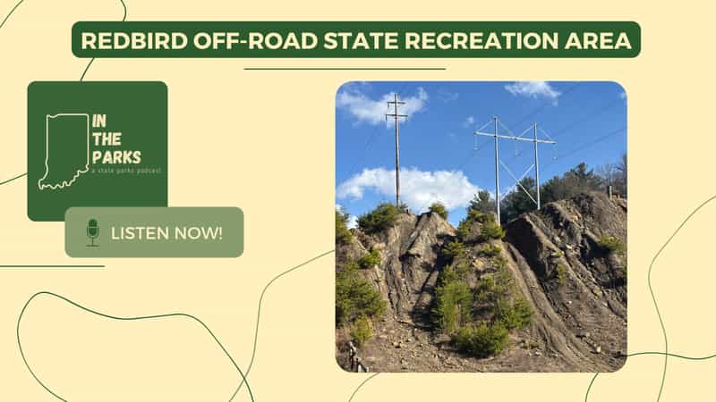 Rocky, rutted off-road hill with pine saplings and power lines overhead at Redbird Off-Road State Recreation Area in Dugger, Indiana