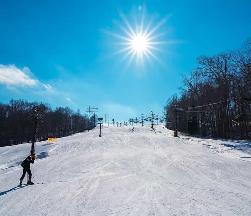 Where in IN Can You Ski, Board & Hit the Safari? ⛷🦒 cover, Get Indiana