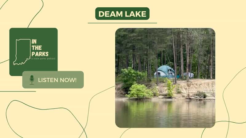 IN the Parks cover art for Deam Lake, showing a tent pitched among pine trees on the lakeshore