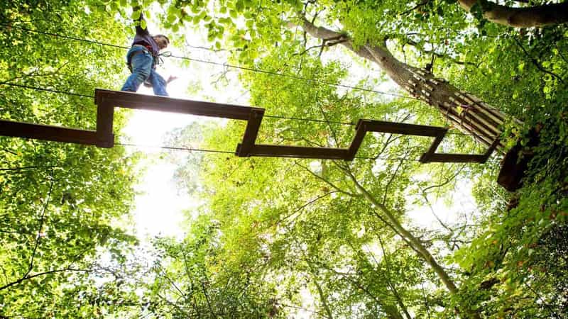 A harnessed climber crosses a suspended wooden plank bridge high in the sunlit forest canopy at Go Ape in Eagle Creek Park, Indianapolis.