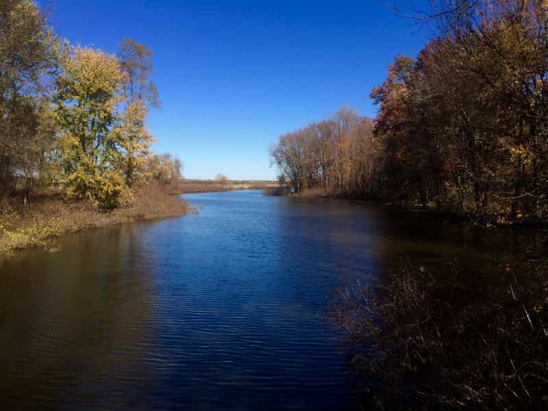Blue water channel lined with gold and rust colored autumn trees under a clear sky at Fox Island County Park in Fort Wayne, Indiana