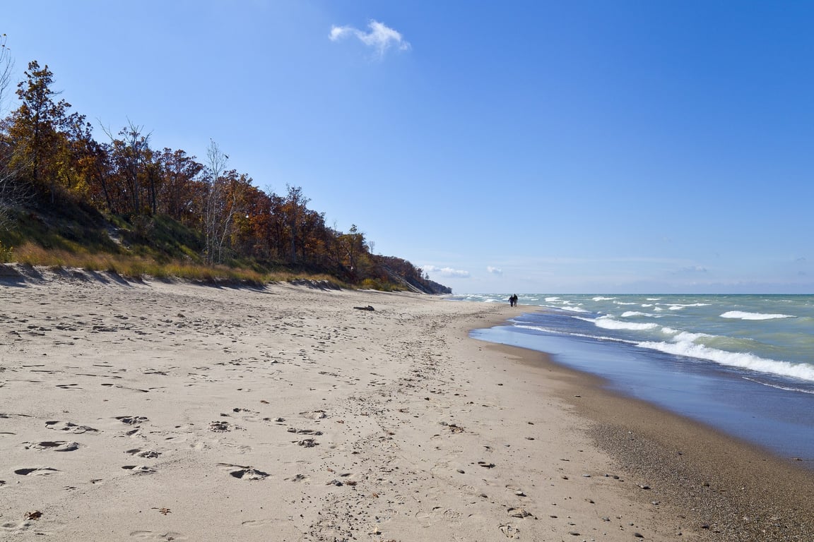 A wide empty beach at Indiana Dunes with Lake Michigan waves rolling in on the right and autumn-colored trees on the dune ridge to the left