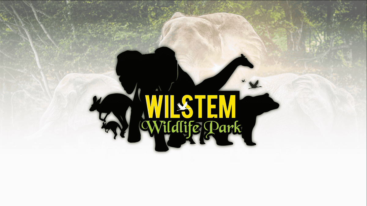 Wilstem Wildlife Park — A Southern Indiana Hidden Gem | Get Indiana