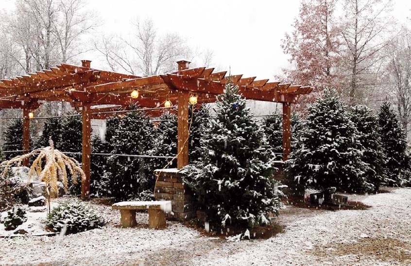 Eagle Creek Nursery: Indianapolis' Best-Kept Secret Growing Since 1925