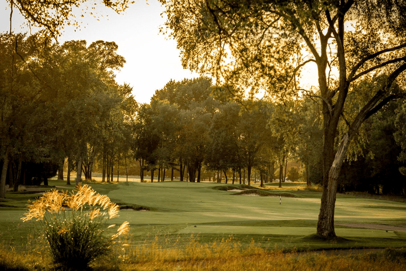 Tree-lined fairway at Warren Golf Course at Notre Dame at sunset