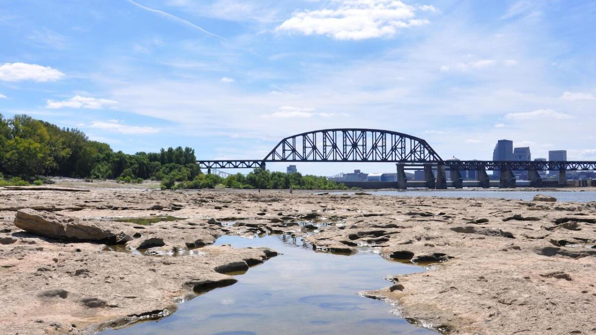 Shallow water channels winding through the wide limestone fossil beds at Falls of the Ohio State Park, with the Louisville skyline visible beyond a steel truss railroad bridge