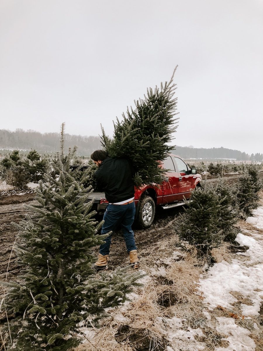 Top 5 places to get a Christmas Tree in Fishers
