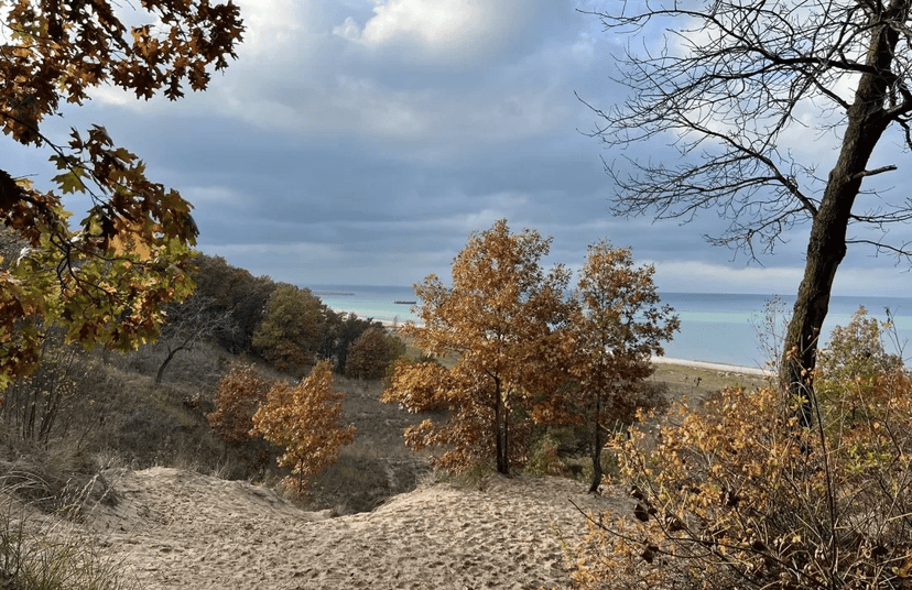A view from a wooded dune overlook at Indiana Dunes, with oak trees in fall color and the pale blue water of Lake Michigan on the horizon