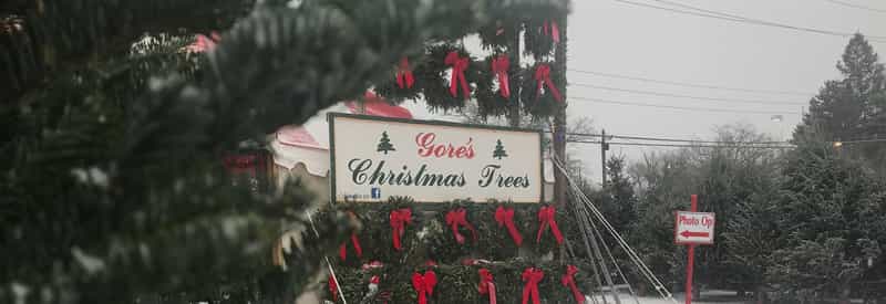 Gore's Christmas Trees sign with red bows on the lot in Indianapolis