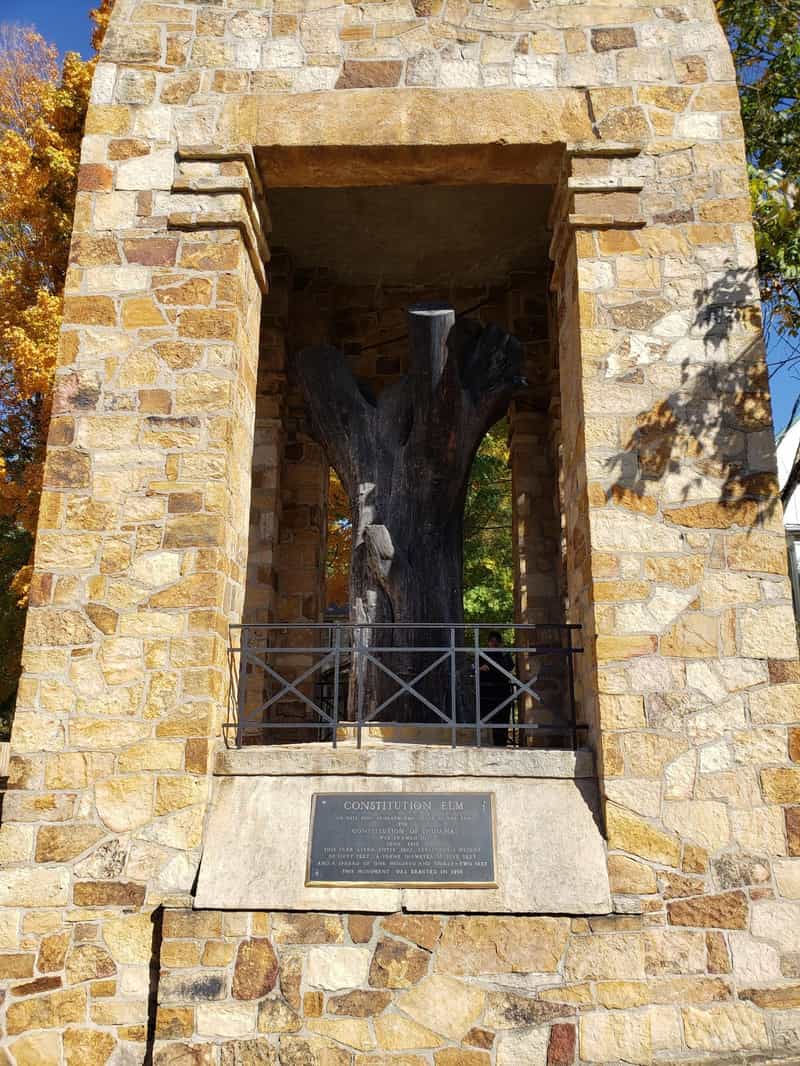 Preserved trunk of the Constitution Elm inside its sandstone monument in Corydon, Indiana, with a bronze plaque and fall leaves