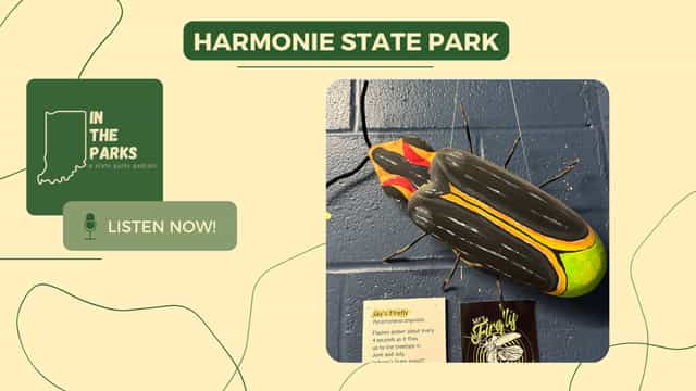 IN the Parks podcast cover art for Harmonie State Park, showing a large painted Say's Firefly sculpture hanging on a blue brick wall next to a placard about Indiana's state insect
