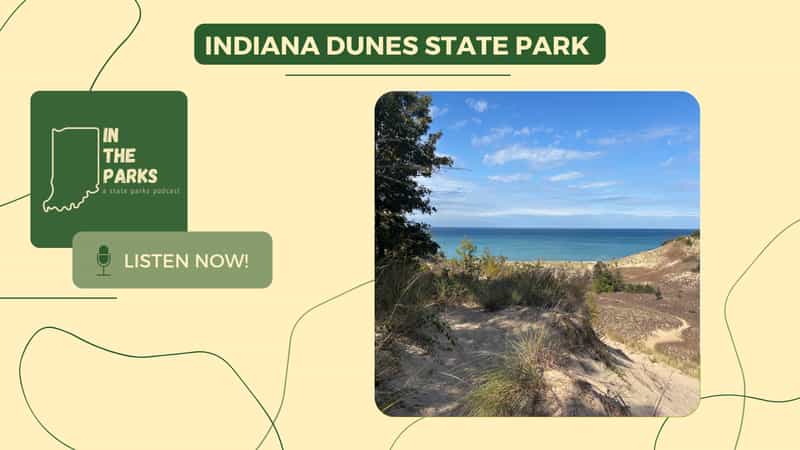 IN the Parks podcast cover art for the Indiana Dunes State Park episode, showing a view across the dunes to Lake Michigan.