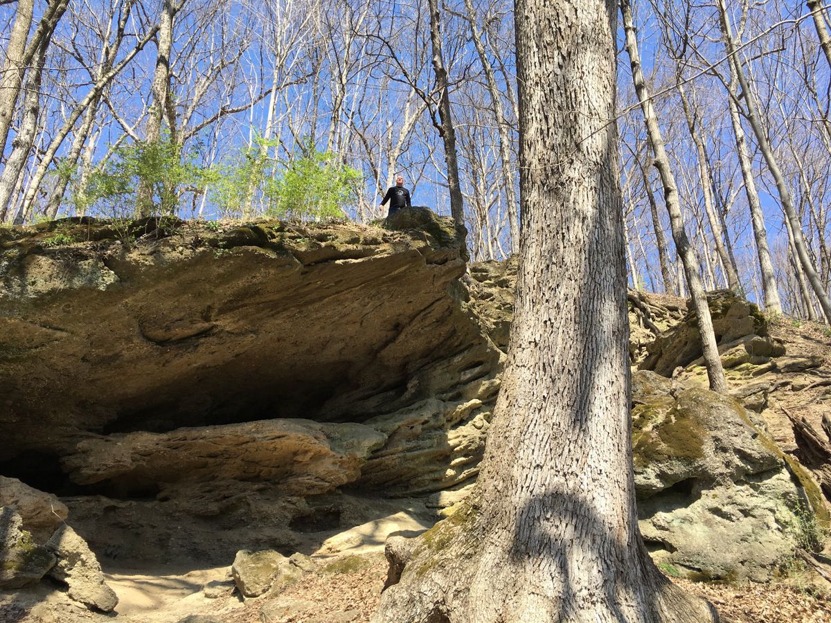 A visitor stands atop the sandstone Prophet's Rock overlook in a sunlit spring forest near Battle Ground, Indiana, with a large tree rising in the foreground.