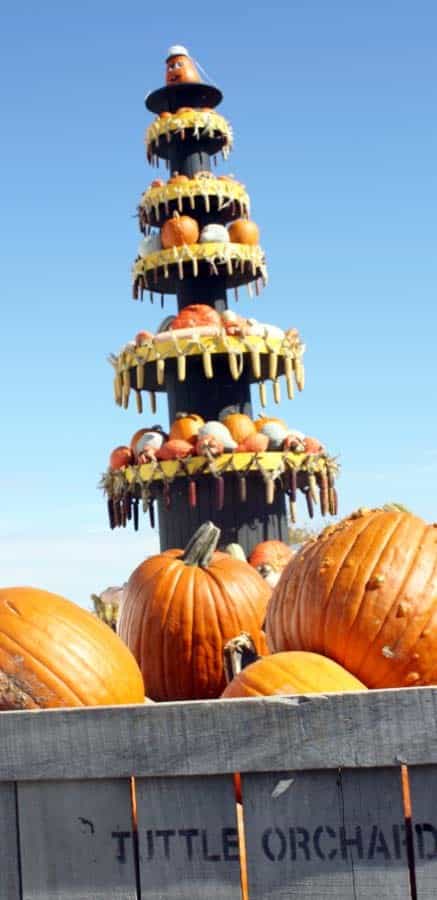 Stacked pumpkin tower on a Tuttle Orchard crate at Tuttle Orchards in Greenfield