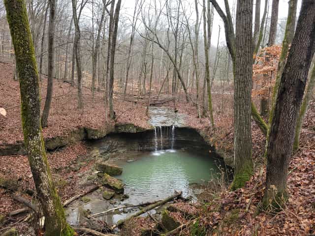 A small limestone waterfall spilling over a rock ledge into a green plunge pool, ringed by bare hardwood trees and fallen leaves, at Calli Nature Preserve in North Vernon, Indiana