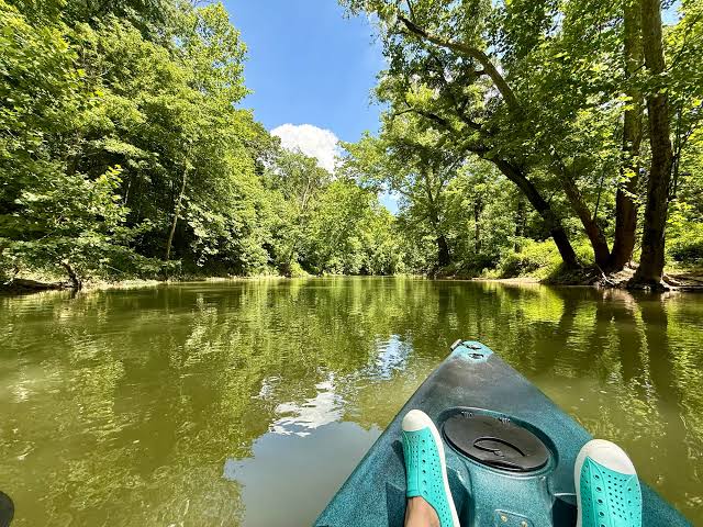 A paddler's view from a teal kayak drifting down a calm, tree-lined Indiana river under a clear summer sky.
