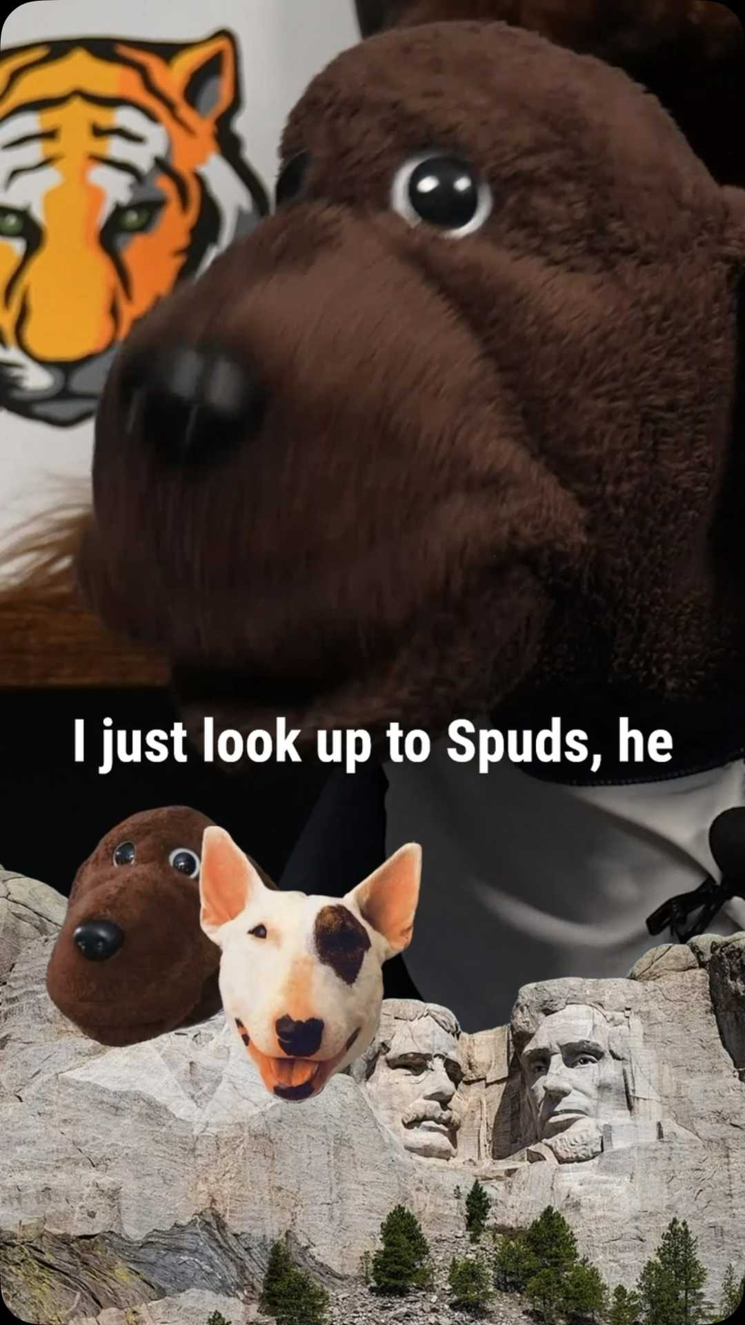 Who are Allan’s top 3 dogs??