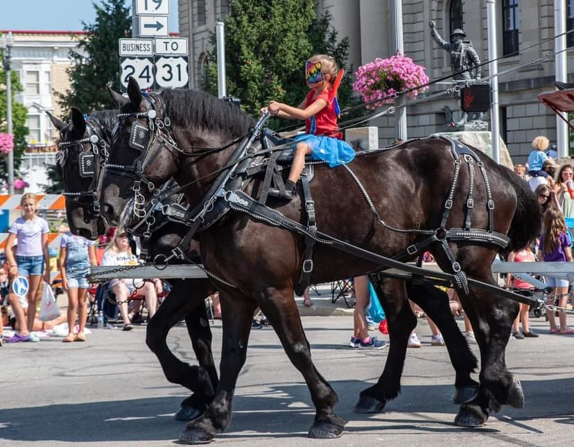 A young performer rides a team of black draft horses in the Circus City Parade through downtown Peru, Indiana