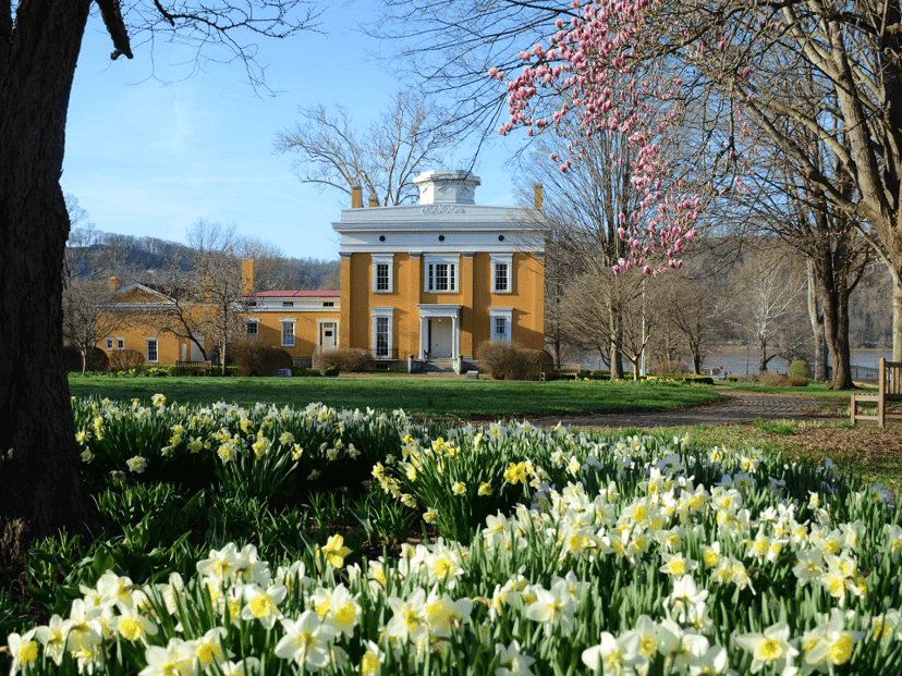 Lanier Mansion in Madison with daffodils blooming on the lawn