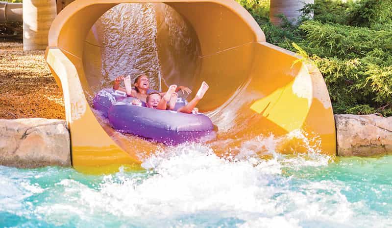 ☀️💦IN Fairs, Water Parks and... Bears, Oh My! cover, Get Indiana