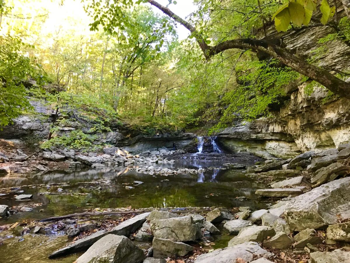 Waterfall spilling into a rocky limestone canyon under green trees at McCormick's Creek State Park