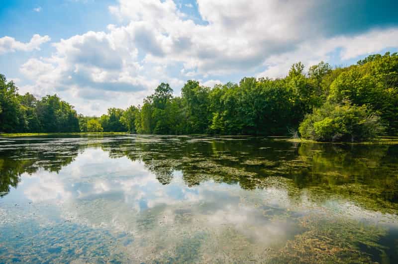 Trees and clouds reflected in the water at Eagle Creek Park