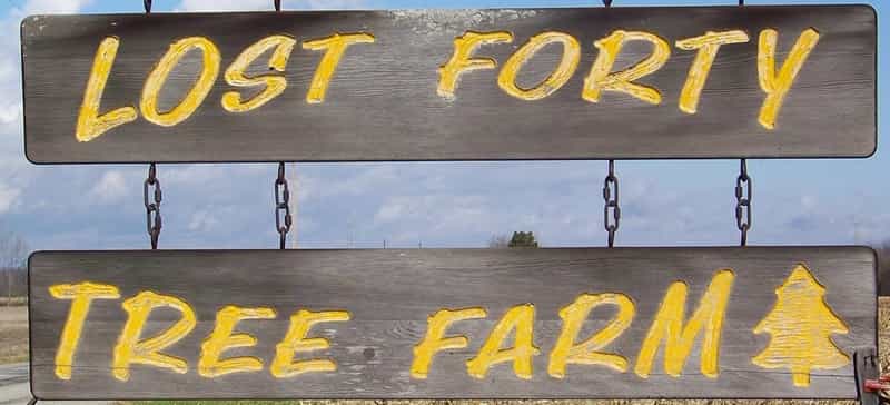 Carved wooden Lost Forty Tree Farm sign in Greenfield