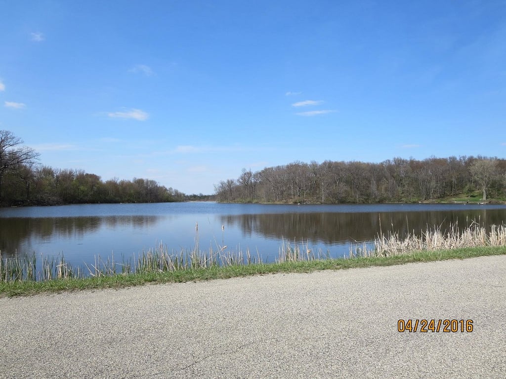A calm Indiana wildlife-area lake reflecting a blue sky, with cattails and a paved trail running along the near bank.