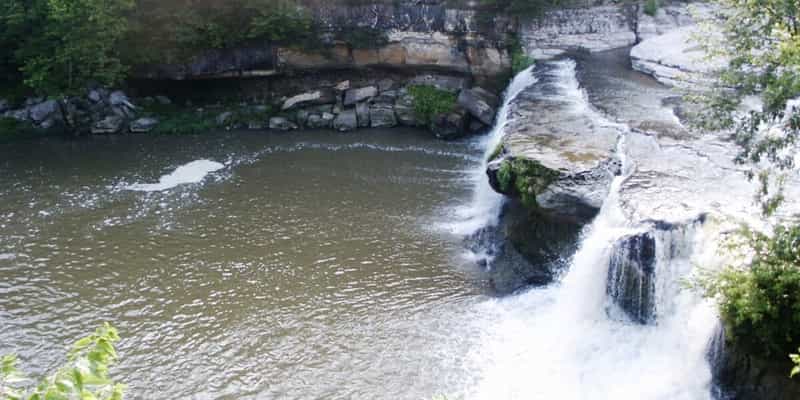 Water spilling over the limestone ledges at Cataract Falls