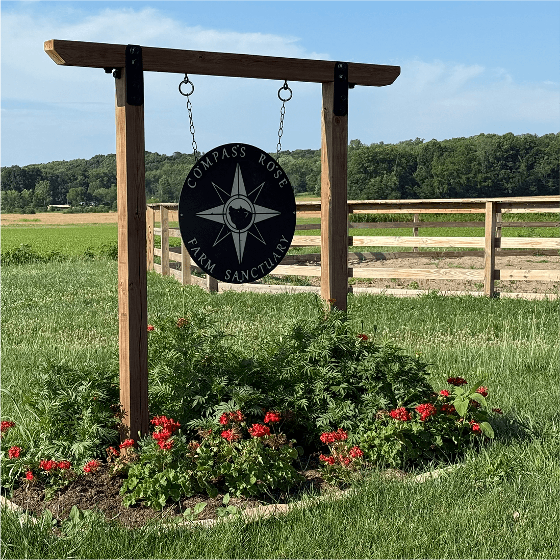 Compass Rose Farm Sanctuary Is Changing How Indiana Cares for Farm Animals