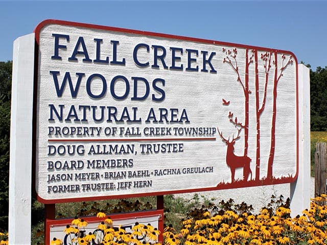 Fall creek woods area photo