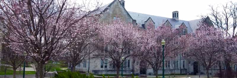 Cherry Blossom Season in Indiana: 4 Spots Worth the Drive Before the Petals Fall