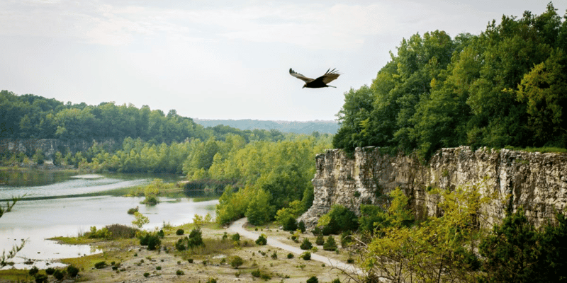 DePauw University Nature Park: A Hidden Outdoor Escape in Greencastle, Indiana
