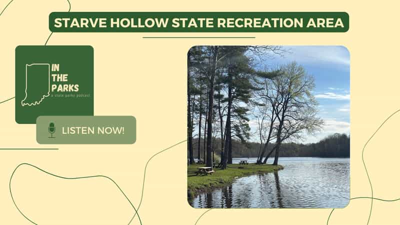 Starve Hollow is the tree nursery and fish hatchery that supplied properties statewide. Allison explores this Jackson County gem on the IN the Parks podcast.