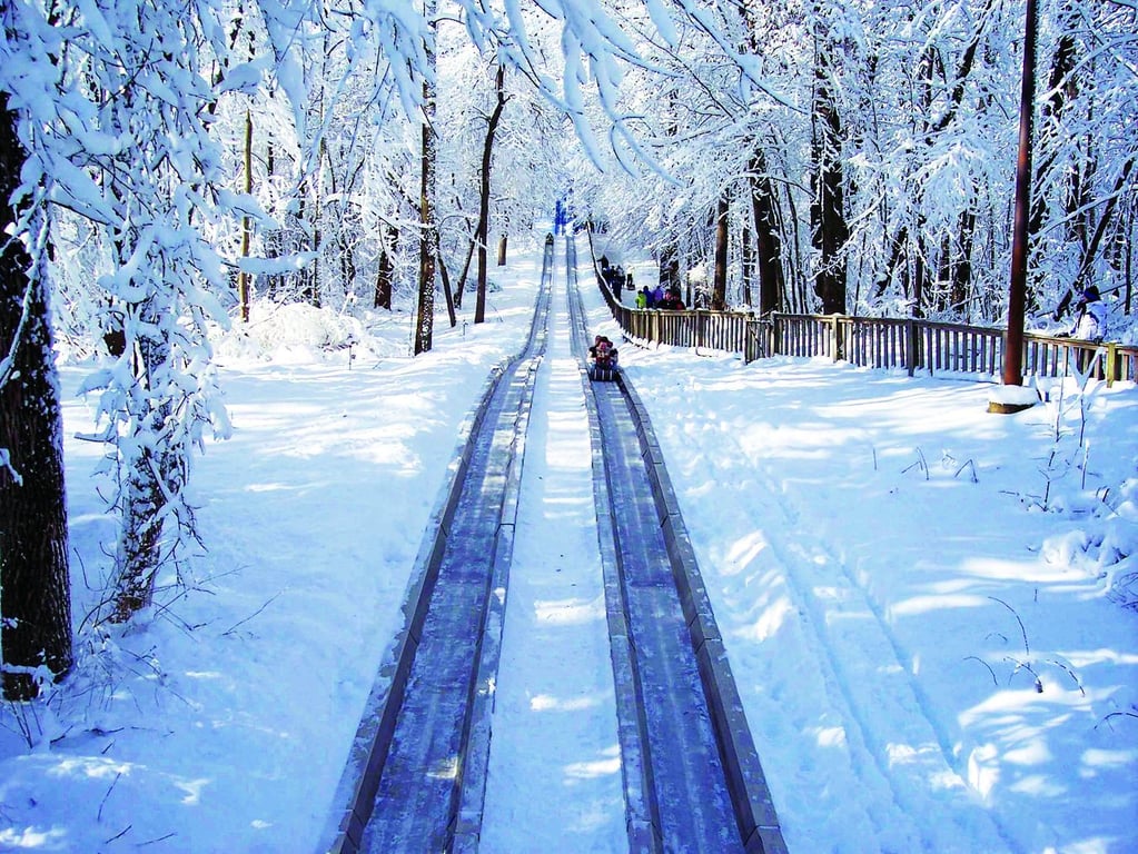 Holidays IN the Parks, from Get Indiana: 📚IN Towns with the Best School Districts